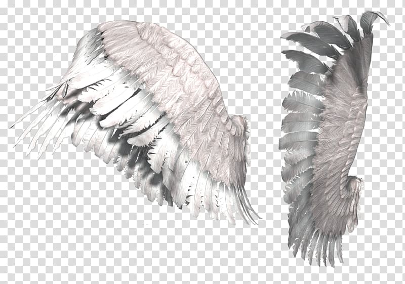 Digital Information , wings transparent background PNG clipart