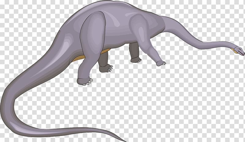 Dinosaur Long Tail Keyword Tyrannosaurus Reptile, dinosaur transparent background PNG clipart