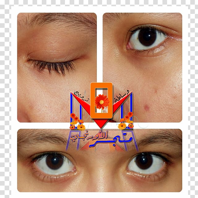 Eyelash extensions Collagen Muhammad Periorbital dark circles, women eyes transparent background PNG clipart