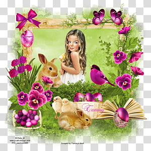 Floral design Flowering plant Petal Pink M, design transparent background PNG clipart thumbnail