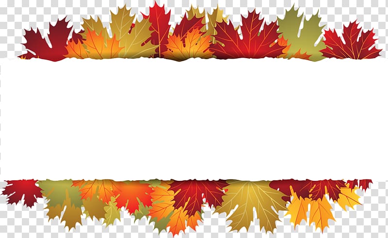 Autumn Leaf , Yellow maple leaf transparent background PNG clipart