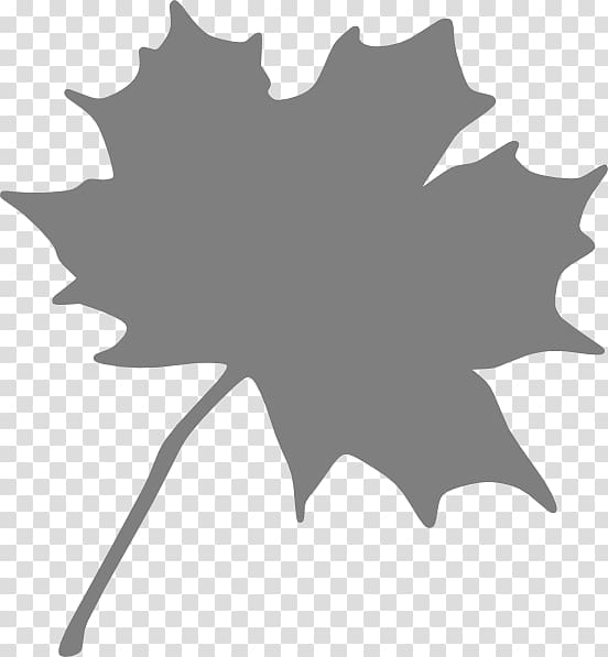 Canada Red maple Maple leaf , Maple Leaf Silhouette transparent background PNG clipart