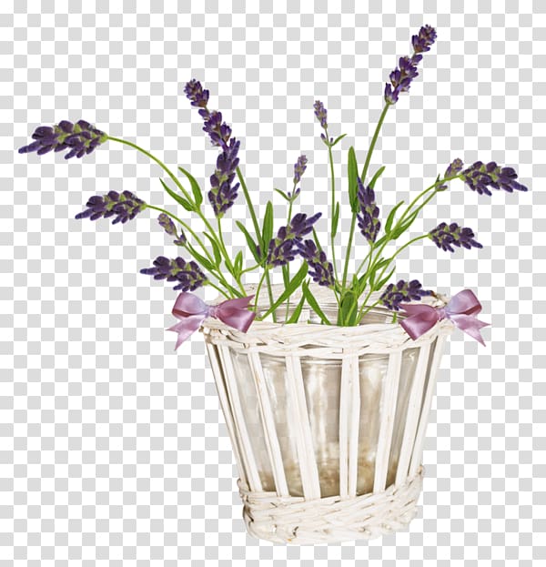 English lavender French lavender Cut flowers Violet, flower transparent background PNG clipart