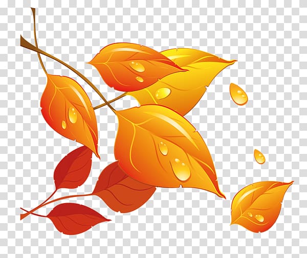 Autumn Leaf , Golden autumn leaves transparent background PNG clipart