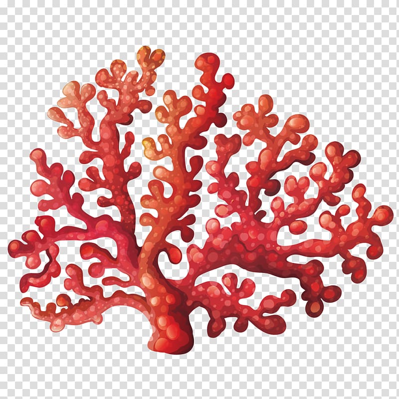 pink coral illustration, Coral reef , coral flower transparent background PNG clipart
