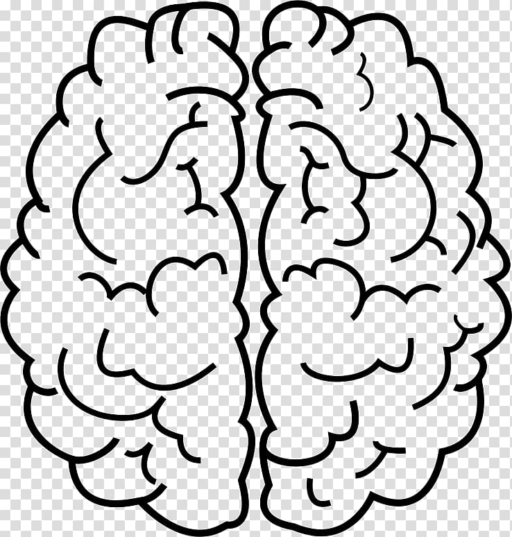 Line art Human brain Drawing , people thinking transparent background PNG clipart