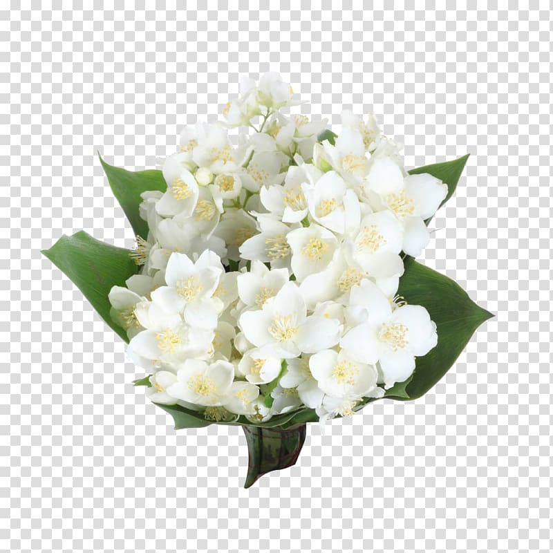 white flowers, Arabian jasmine Flower , Jasmine bouquet transparent background PNG clipart