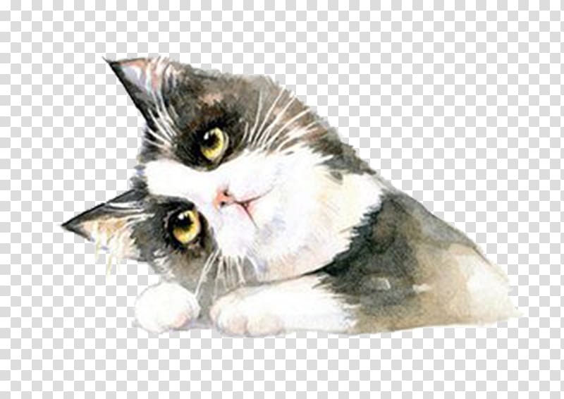 British Shorthair American Shorthair Ragdoll American Curl, Hand-painted cat transparent background PNG clipart