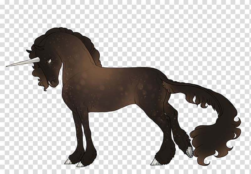 Mane Mustang Appaloosa Stallion Andalusian horse, mustang transparent background PNG clipart