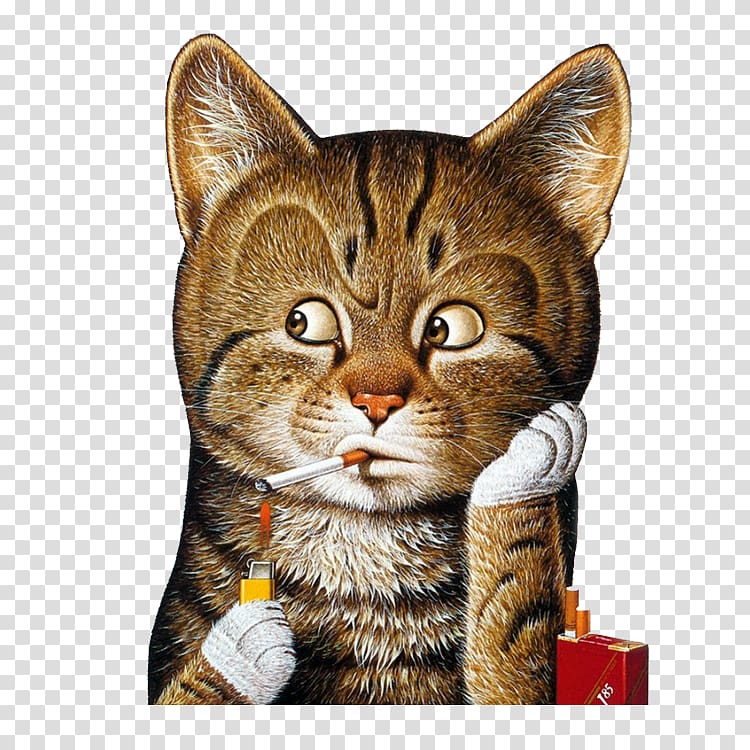 Smoking kitten transparent background PNG clipart