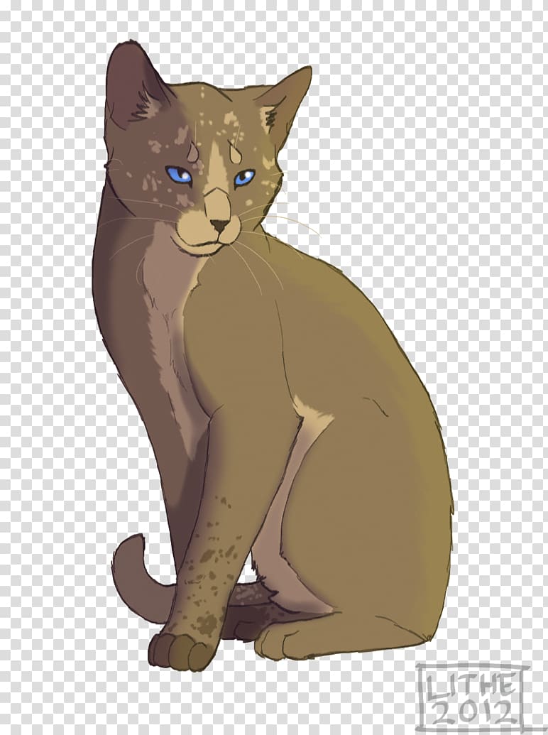 Havana Brown Animal Chihuahua Warriors Kitten, lithe transparent background PNG clipart