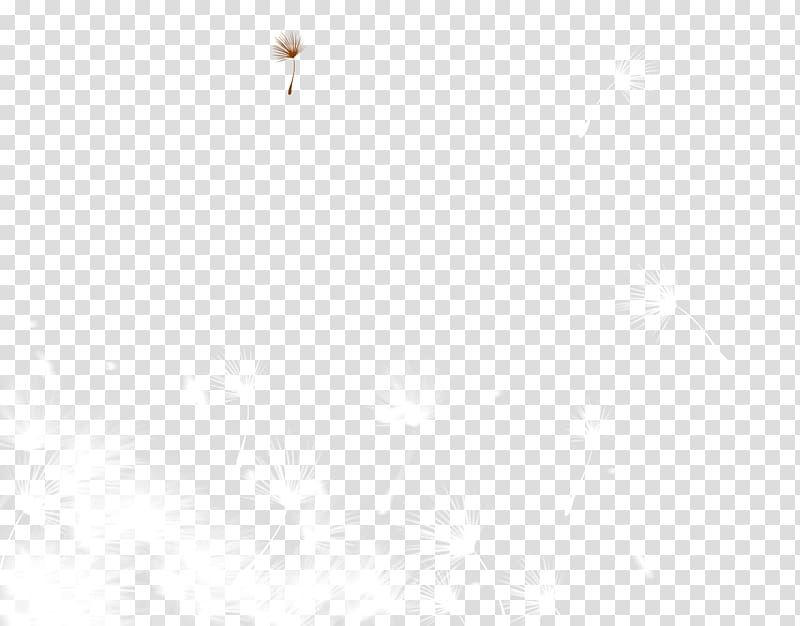 White Black Pattern, White dandelion transparent background PNG clipart