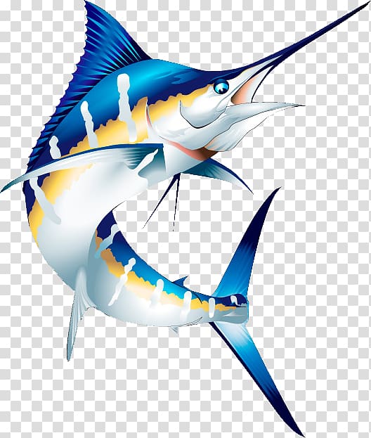 Atlantic blue marlin Marlin fishing Striped marlin , others transparent background PNG clipart