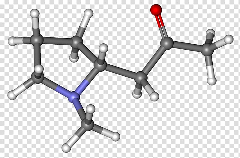 Ball-and-stick model Hygrine Molecule Space-filling model Chemical nomenclature, others transparent background PNG clipart