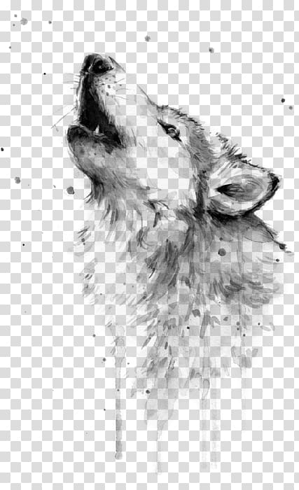 Watercolor painting Gray wolf Art Drawing, watercolor fox transparent background PNG clipart