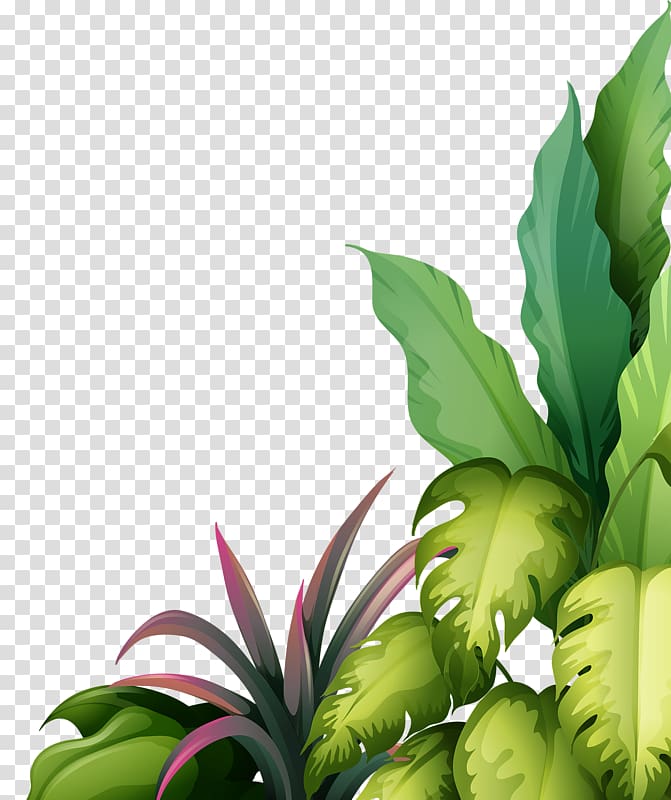 Black, Plants, Flower, White, Plant, Oleander - Oleander Line Drawing PNG  Image | Transparent PNG Free Download on SeekPNG