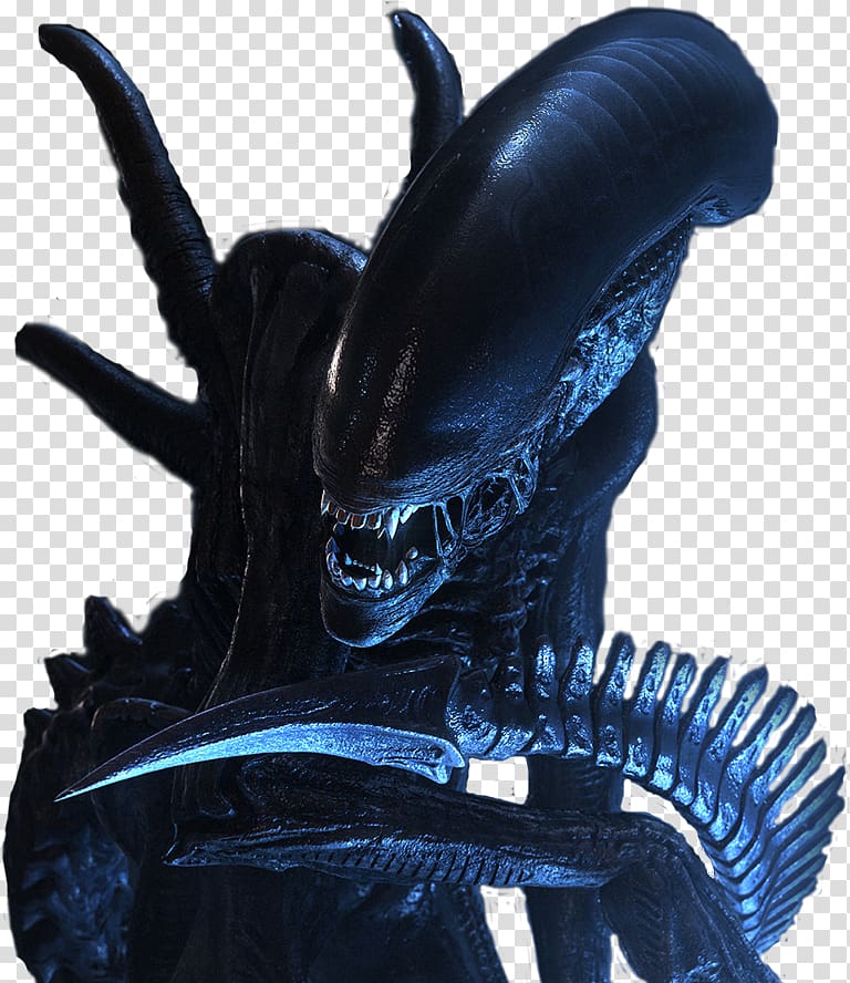 Xenomorph Alien Aliens Versus Predator Alien Vs Predator Alien