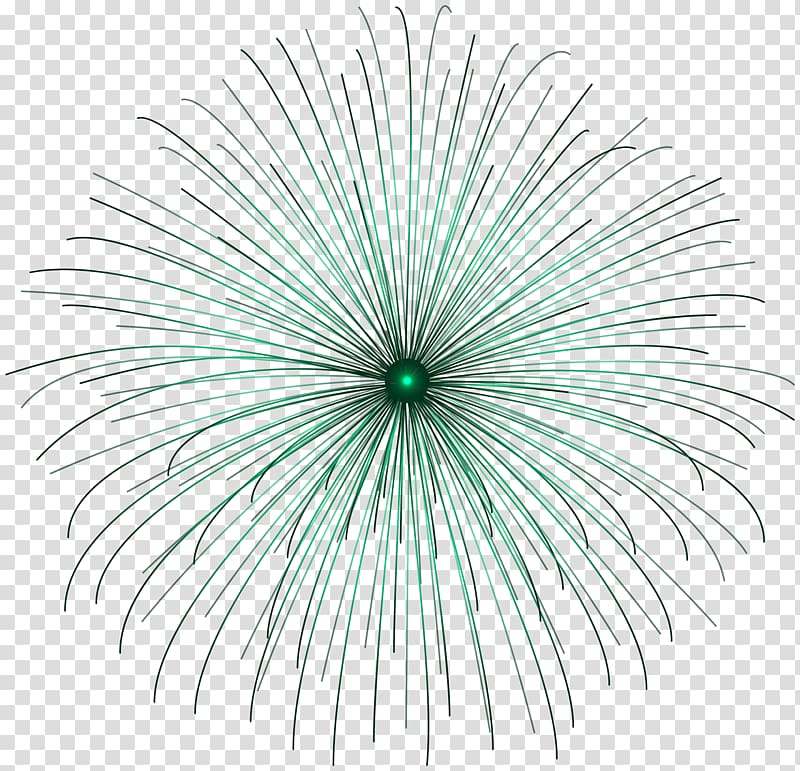 Adobe Fireworks , Firework Circle transparent background PNG clipart