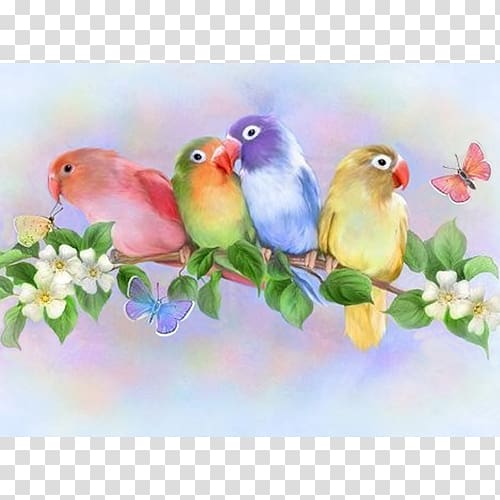 Watercolor painting Lovebird, Bird transparent background PNG clipart