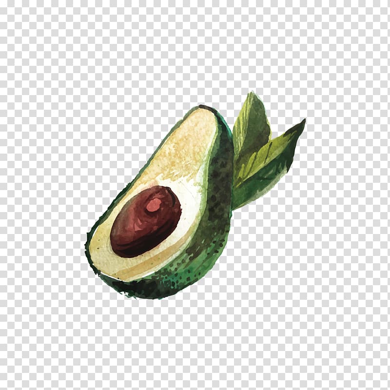 avocado cruit illustration, Avocado Cartoon, Drawing Avocado transparent background PNG clipart