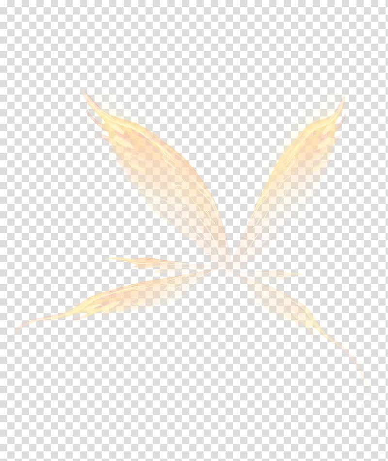DOTA 2, White Angle Pattern, Creative Wings transparent background PNG clipart