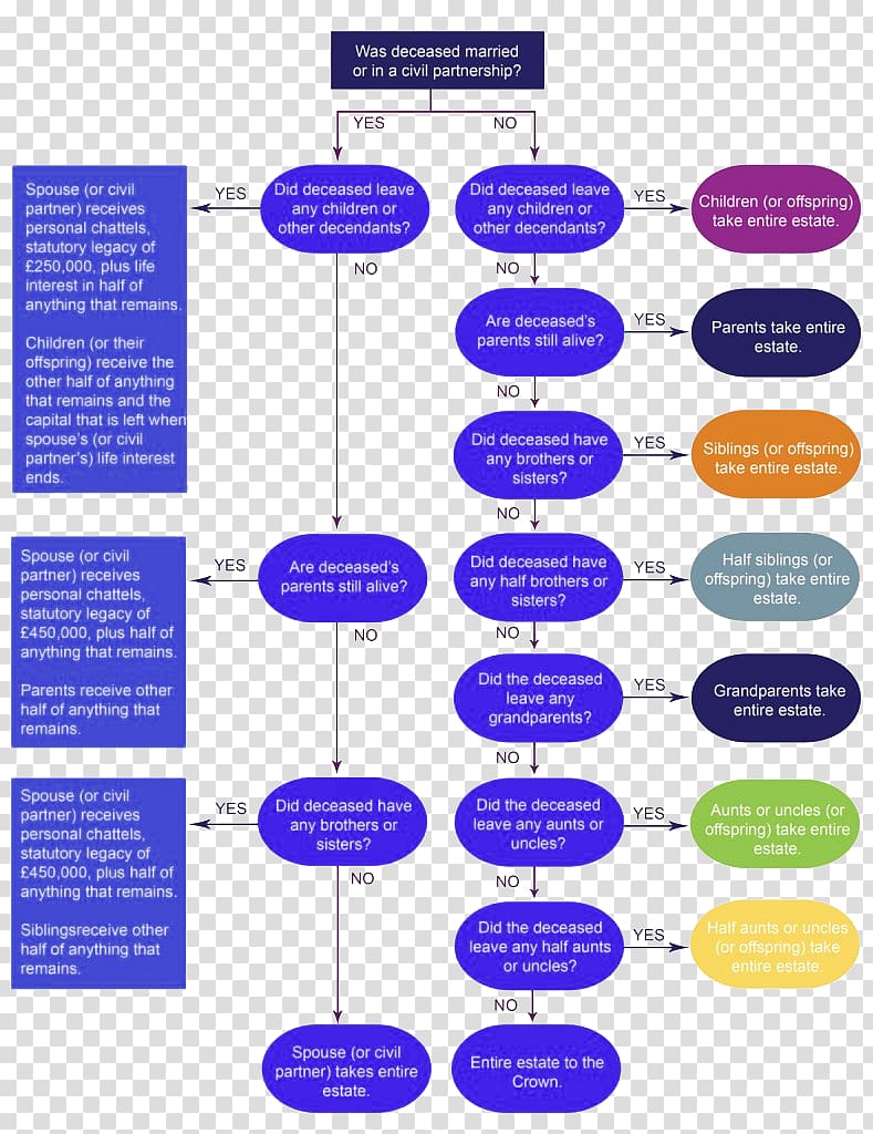 Intestacy Will and testament Flowchart Inheritance tax Diagram, creative flowchart transparent background PNG clipart