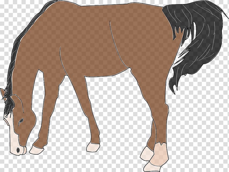 Website Free content , Brown horse transparent background PNG clipart