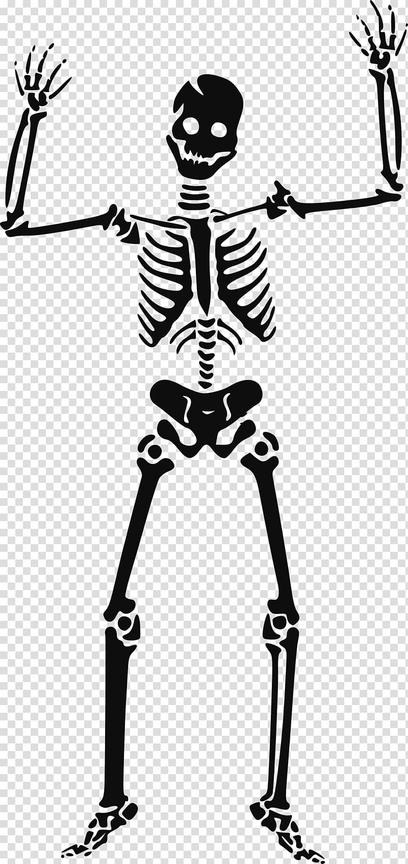skeleton illustration, Skeleton Skull , Skeleton siluet transparent background PNG clipart