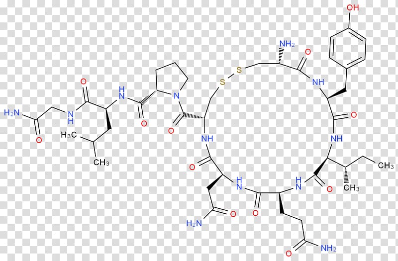 Oxytocin Molecule Chemical structure Chemical compound, Oxytocin transparent background PNG clipart