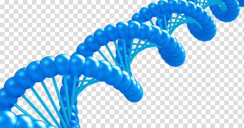 blue neuron , DNA computing , DNA transparent background PNG clipart