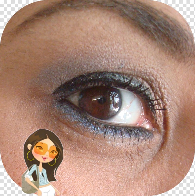 Eyelash extensions Eye liner Eye Shadow Lip liner, Vila Canto Da Floresta transparent background PNG clipart
