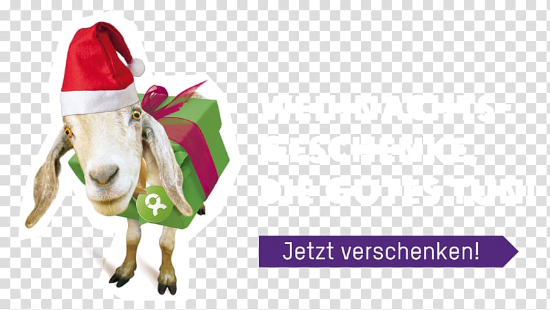 Zahnarztpraxis Padilla, Ihr Zahnarzt Frankfurt Gift Christmas Day Birthday Greeting & Note Cards, gift transparent background PNG clipart