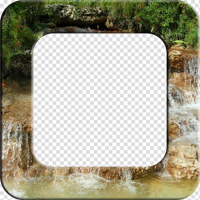 , tropical frame transparent background PNG clipart