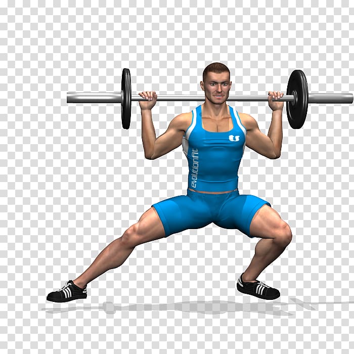 Weight training Quadriceps femoris muscle Rectus femoris muscle Barbell, gym squats transparent background PNG clipart