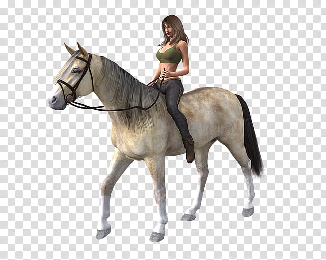 Riding horse Equestrian Portable Network Graphics , horse transparent background PNG clipart