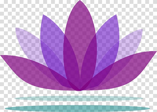 Purple lotus logo, Nelumbo nucifera , Lotus Background transparent ...