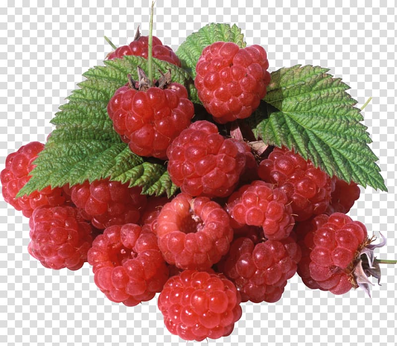 Raspberry Red Mulberry Fruit Strawberry, 3d 3d pattern transparent background PNG clipart