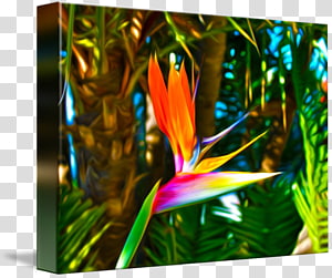 Petal Leaf, Leaf transparent background PNG clipart thumbnail