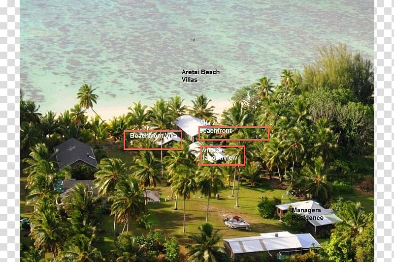 Property Resort Hill station Arecaceae Land lot, Straits View Villas transparent background PNG clipart