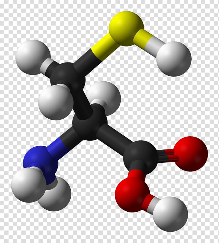 Dietary supplement Serine Amino acid Cysteine Chemistry, others transparent background PNG clipart