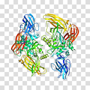 Line Point Organism , line transparent background PNG clipart thumbnail