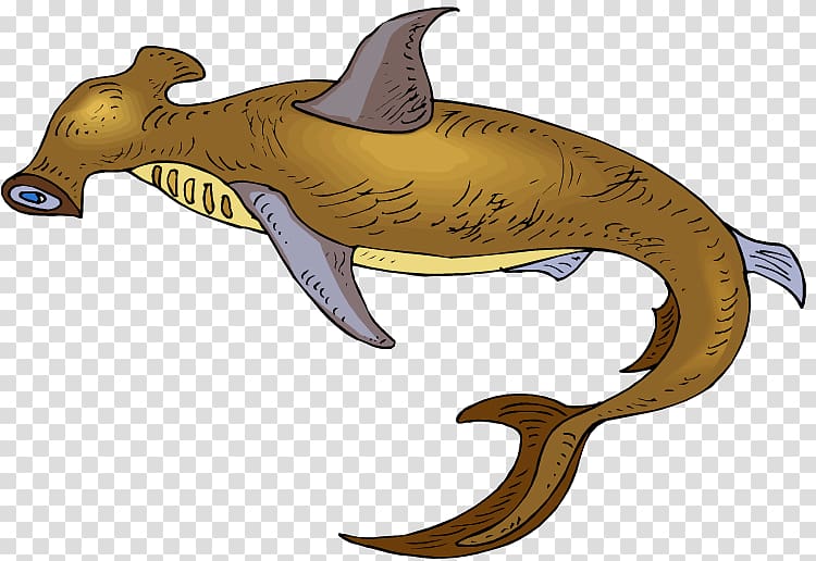 Tiger shark Hammerhead shark , shark transparent background PNG clipart