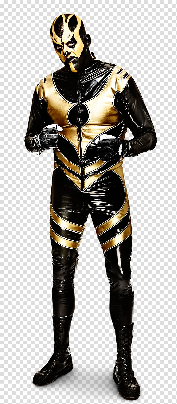 WWE Championship Professional Wrestler Cody Rhodes and Goldust WWE Hall of Fame, wwe transparent background PNG clipart