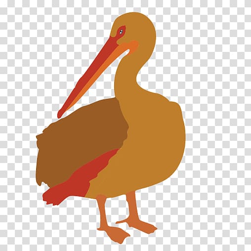 Beak Bird Brown pelican , Bird transparent background PNG clipart