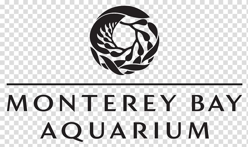 Monterey Bay Aquarium Cannery Row Aquarium of the Pacific White Shark Café, shark transparent background PNG clipart