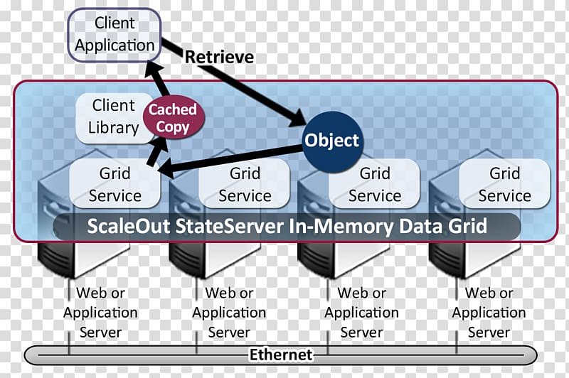 Scaleout Software, Inc. Computer Software Data Management Platform Cache, fig overhead transparent background PNG clipart