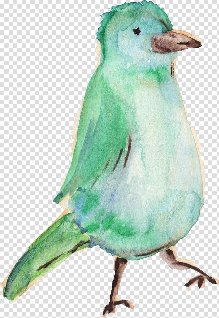 Hummingbird Parrot Parakeet, watercolor animals transparent background PNG clipart