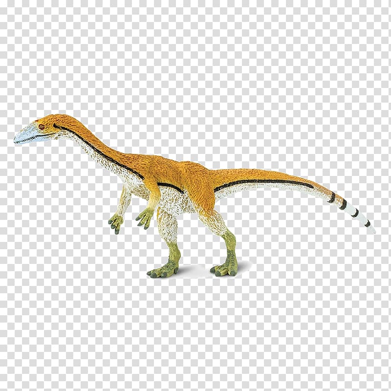 Velociraptor Coelophysis Giganotosaurus Spinosaurus Microraptor, dinosaur transparent background PNG clipart