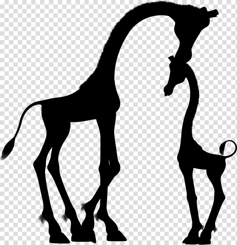 Reticulated giraffe Silhouette Mother Child , giraffe transparent background PNG clipart