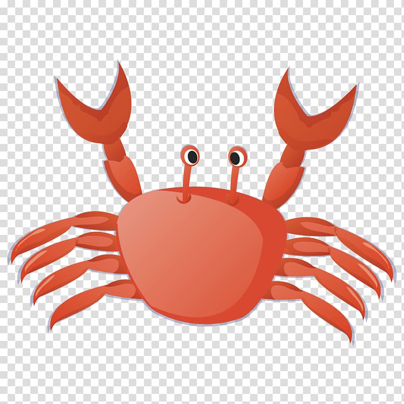 red crab , Crab Cangrejo , Meng Meng da small crabs transparent background PNG clipart